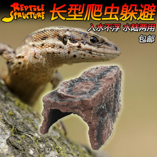 Reptile Structure-爬结构 爬虫躲避蜥蜴树洞守宫蜘蛛蝎子龟晒台两栖龟窝长条型躲避洞穴包邮 商品图4