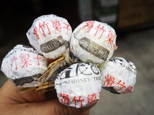 2018年春-滑竹梁子古树龙珠