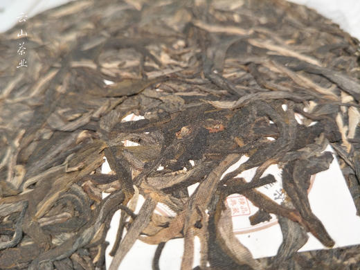 佰年尚普·布朗 商品图4