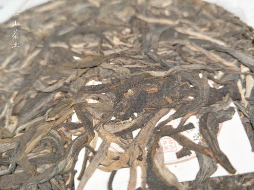 佰年尚普·布朗 商品图5