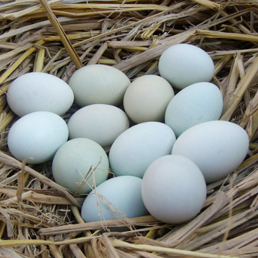 千岛湖绿壳蛋30枚