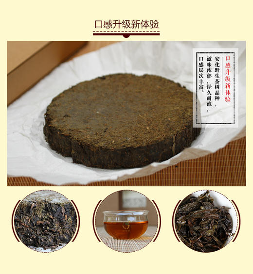 金花姑姑百两茶饼 100克 商品图5