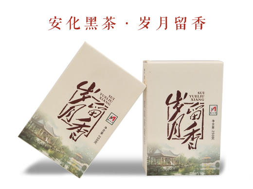 2012年安化黑茶 岁月留香 250g 商品图1