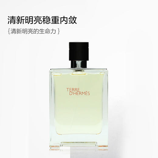 HERMES爱马仕大地男士淡香水EDT50ml 商品图1