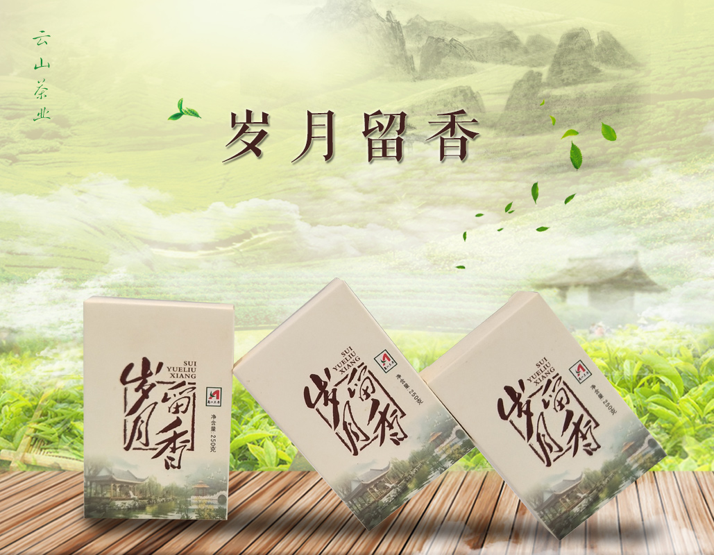 2012年安化黑茶 岁月留香 250g