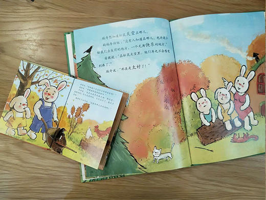 折耳兔瑞奇快乐成长（13册） | 3-7岁适读 比利时绘本  自我肯定 独立 关爱体谅 商品图4