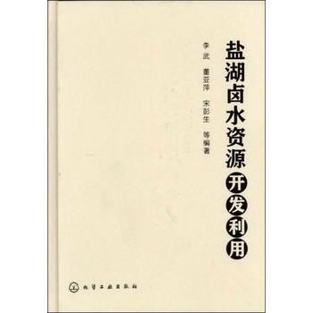 盐湖卤水资源开发利用 商品图0