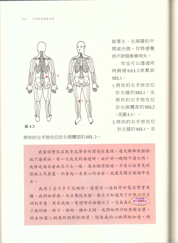 仁神术的疗愈奇迹调和生命能量的至简疗法陈奕迅救命圣经