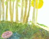 【中商原版】晴朗的一天 英文原版 OneFineDay 诺尼霍格罗金 Nonny Hogrogian 1972年凯迪克金奖 获奖名家绘本 3-6岁 商品缩略图2