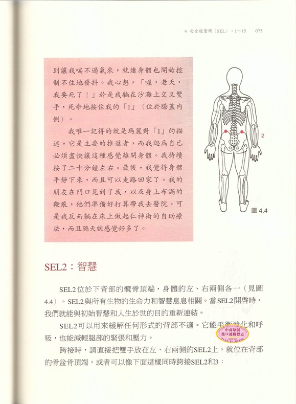 仁神术的疗愈奇迹调和生命能量的至简疗法陈奕迅救命圣经