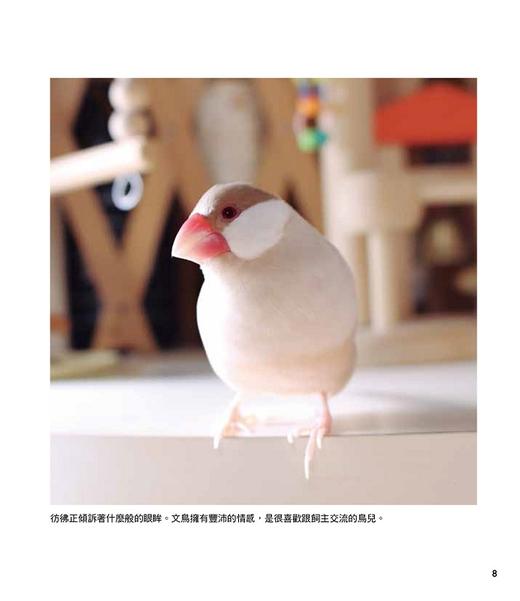 【中商原版】文鸟饲养日记 照顾x教养x游戏，一起度过亲亲时光 港台原版 伊藤美代子 台湾东贩 宠物 商品图3