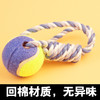宠物狗狗玩具 棉绳甩甩球 颜色随机发 手提网球 耐咬训练洁齿  宠物用品批发 商品缩略图2