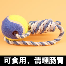 宠物狗狗玩具 棉绳甩甩球 颜色随机发 手提网球 耐咬训练洁齿  宠物用品批发