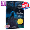 预售 【中商原版】黑鸟湖畔的女巫 英文原版 Witch of Blackbird Pond 1959年纽伯瑞儿童文学奖金奖 获奖作品 时代杂志百大青少年小说 商品缩略图0