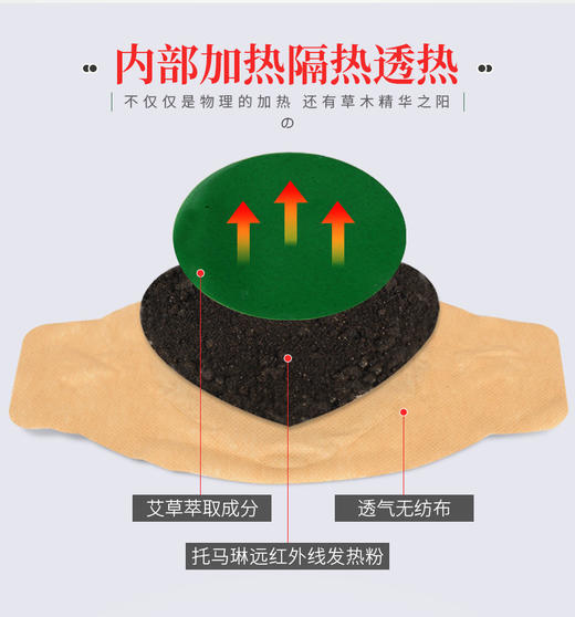 【积分兑换】艾草温灸贴【6贴/盒】 商品图1