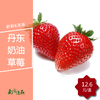 【拍前请看温馨提示】丹东奶油草莓（2盒起购，每盒约11颗） 商品缩略图0