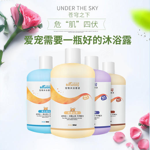 宝莱美露宠物狗狗沐浴露500ml丝滑柔顺猫咪香波浴液护毛素 商品图1