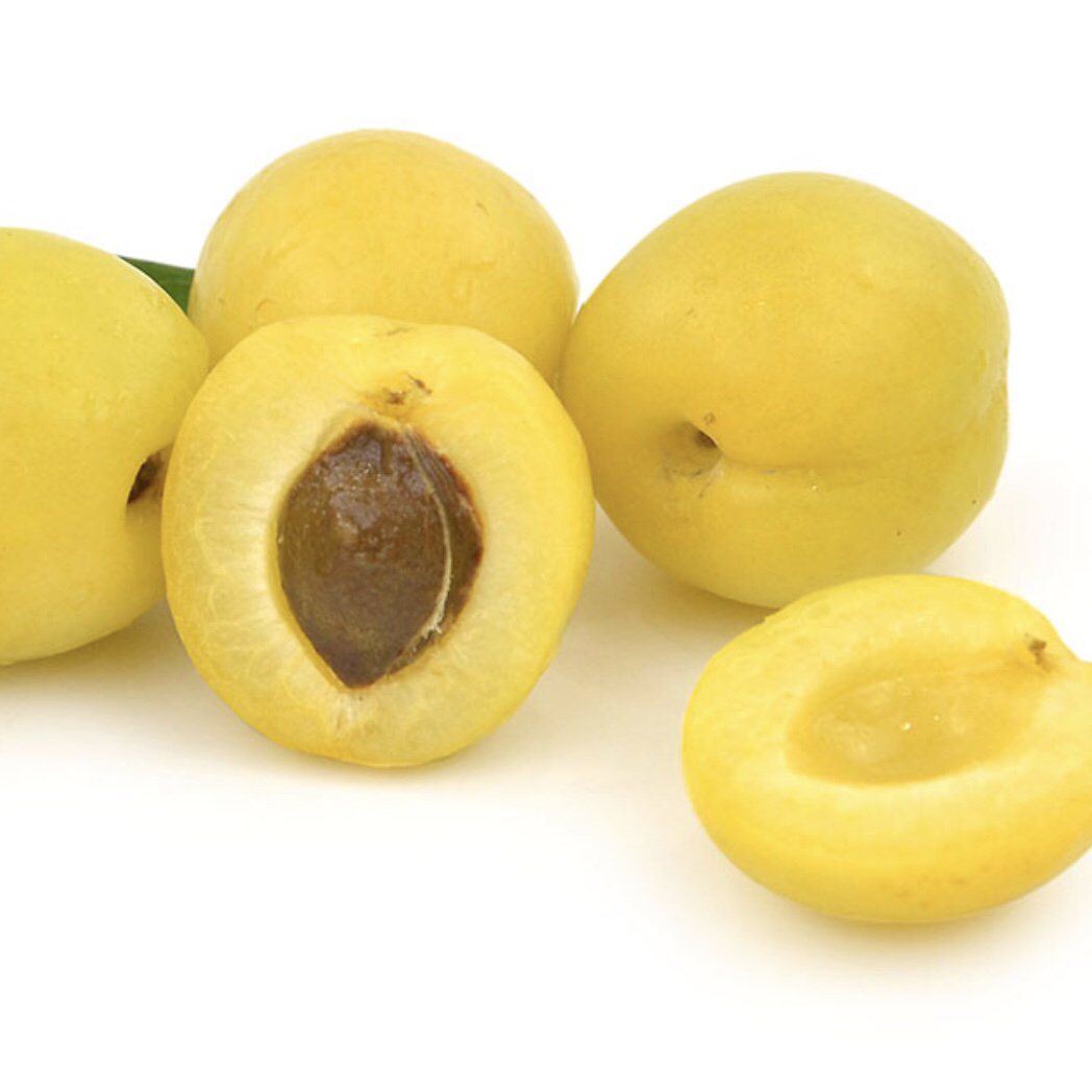 b级新疆小白杏500g份