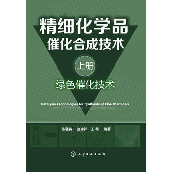 精细化学品催化合成技术（上册，绿色催化技术） 商品图1