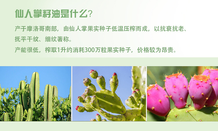 摩洛哥仙人掌籽油30ml大容量装小分子易吸收去眼圈眼部精油