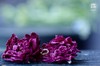 平阴头期玫瑰花冠／花瓣 商品缩略图0