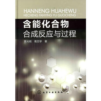 含能化合物合成反应与过程 商品图0