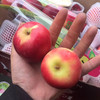 【高端新西兰火箭筒苹果】三年结一果，全球珍贵的苹果，口感超棒！珍惜圣果，口感一股淡淡的樱桃味 商品缩略图2