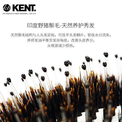 KENT 天然猪鬃 气囊按摩梳 PF02 商品图2