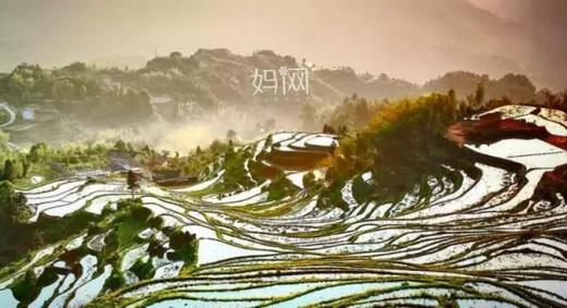 【妈网旅游】之中国最美梯田亲子两日游，看梯田、云海、竹海、瀑布、雾凇，住网红隐想家民宿，晚上烧烤、篝火晚会... 商品图0