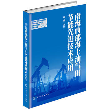 南海西部海上油气田节能先进技术应用 商品图0