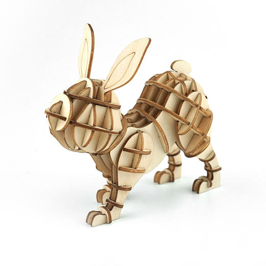 下架丨果壳有玩 | 木质动物拼插玩具12款 3d立体拼图 diy手工摆件