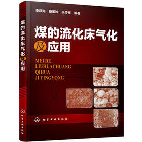 煤的流化床气化及应用