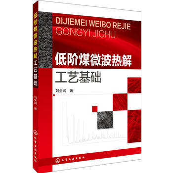 低阶煤微波热解工艺基础 商品图0