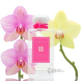 JO MALONE 祖马龙 祖玛珑 樱花香水 2018年限量版   小样/正装