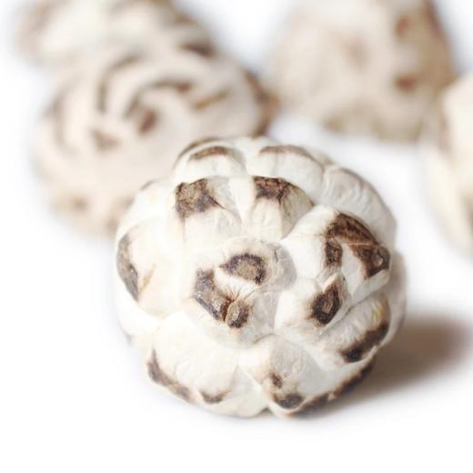 出口级天白小花菇珍珠菇'煲汤滑口【1B2上-干9A】 商品图1