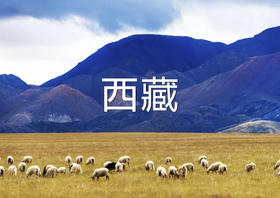 【赴阿里之约】阿里大环线14天精华摄影团