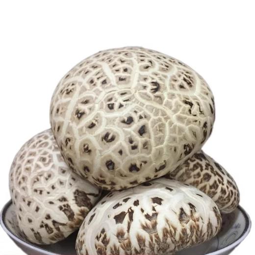 10-12直径特大花菇肉厚【1B4上-干8A】 商品图2