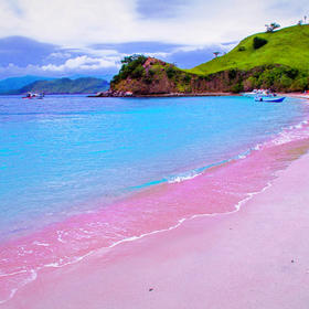 【巴厘岛】粉色沙滩、古老神秘的科莫多龙、看野生海豚、海龟保育！5岁起报！