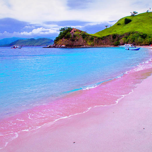 【巴厘岛】粉色沙滩、古老神秘的科莫多龙、看野生海豚、海龟保育！5岁起报！ 商品图0