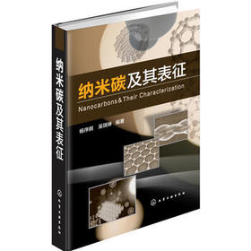 纳米碳及其表征