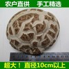10-12直径特大花菇肉厚【1B4上-干8A】 商品缩略图3