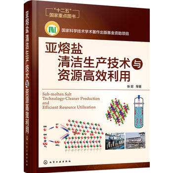 亚熔盐清洁生产技术与资源高效利用 商品图0