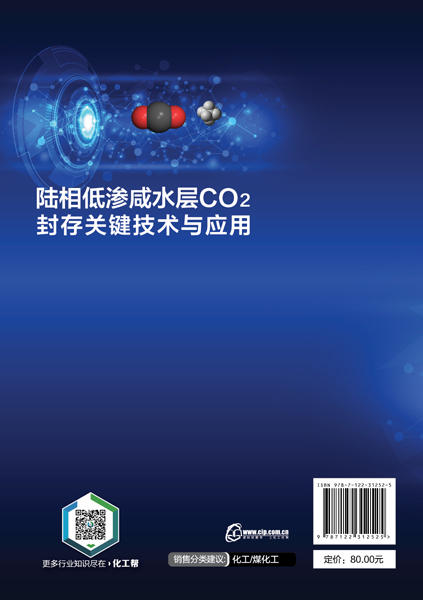 陆相低渗咸水层CO2封存关键技术与应用 商品图1