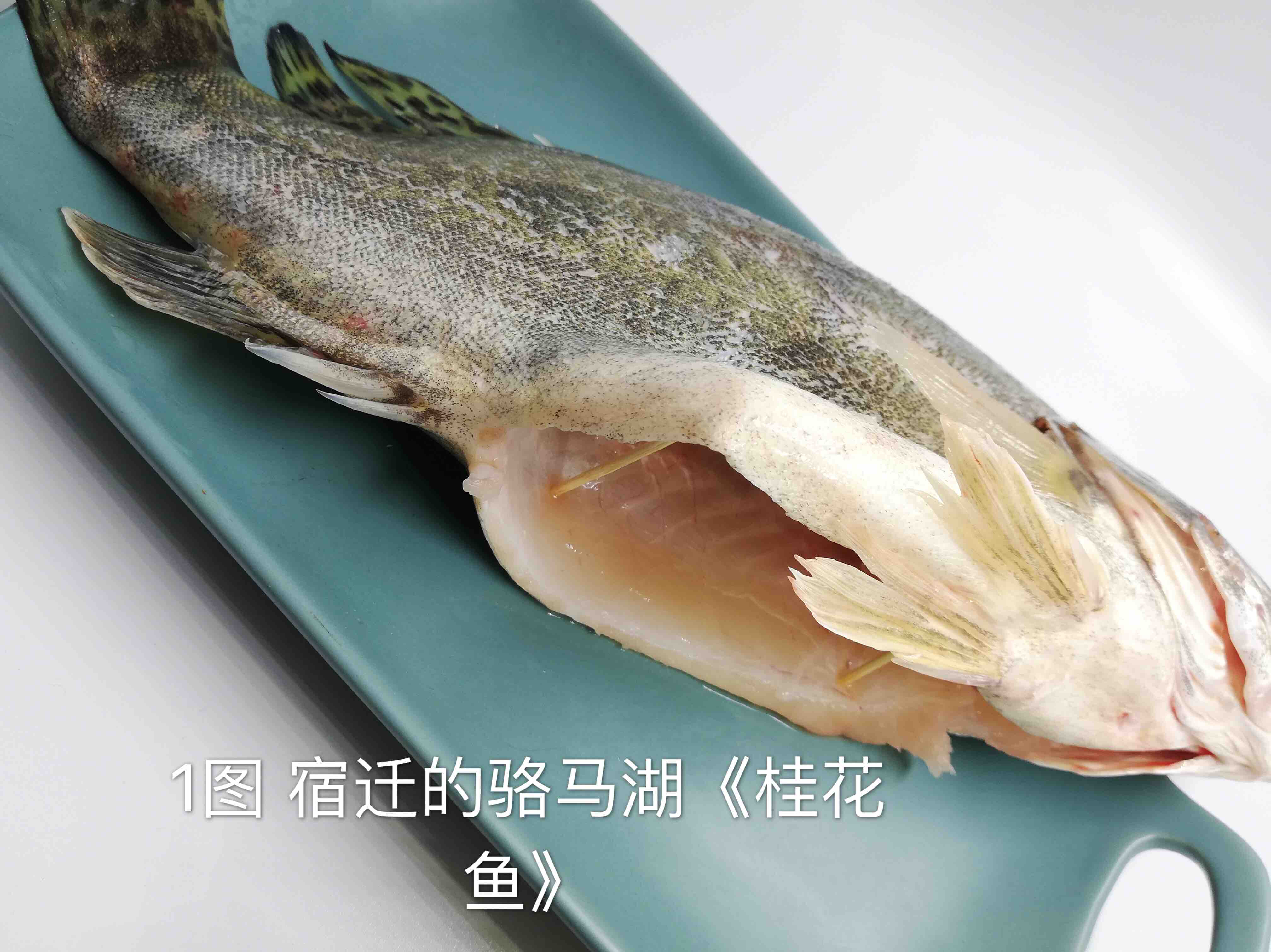 桃花流水鱖魚肥,魚鮮中的極品 又稱