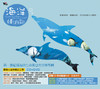 海洋嬉游記 1CD 1DVD | 听见大自然系列 商品缩略图0