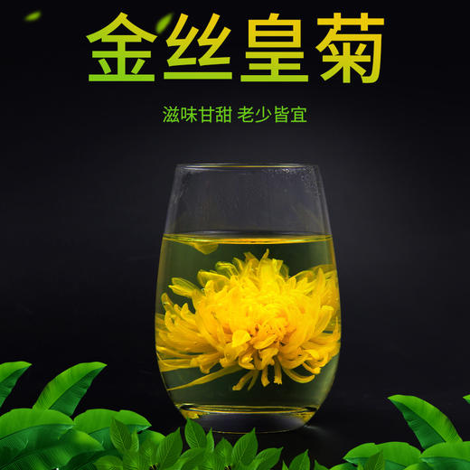 【金丝皇菊2瓶装】陕西汉中朱鹮保护区周边