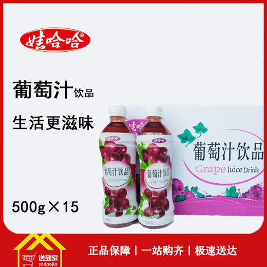 娃哈哈葡萄汁饮品500g×15瓶/箱 商品图0