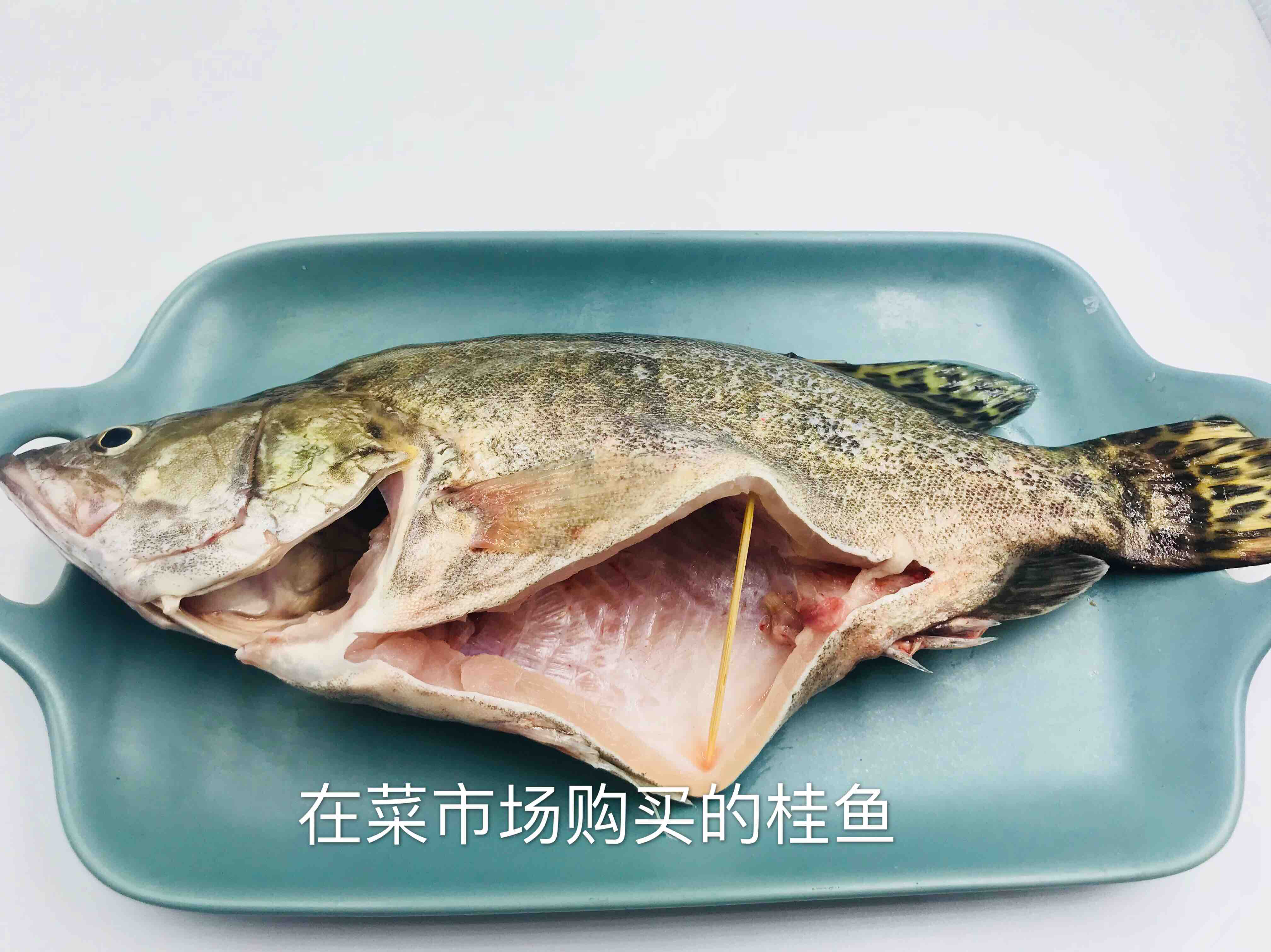 桂魚的營養價值與功效桂魚含有蛋白質,脂肪,維生素b1,維生素b2,煙酸及