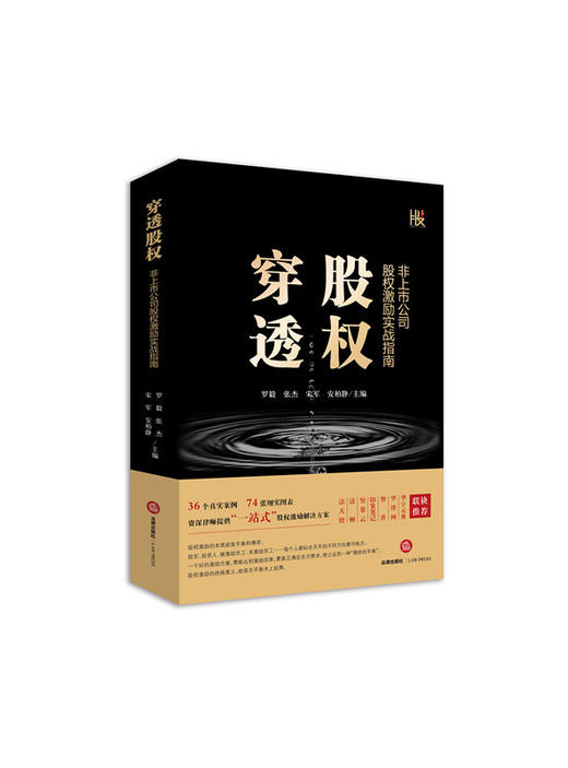 股+律师团队新作丨《穿透股权：非上市公司股权激励实战指南》 商品图0