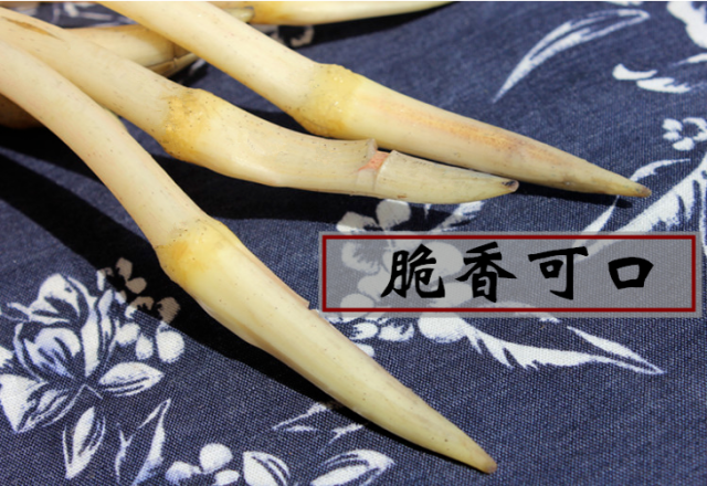 【洪湖藕梢】国家地理标志产品 俗名"藕稍子" "藕尖"统称"藕带" 是